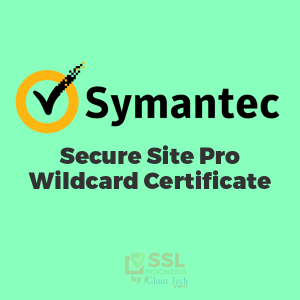 Symantec Secure Site Pro Wildcard Certificate