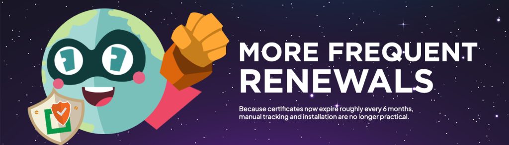 rapidssl wildcard